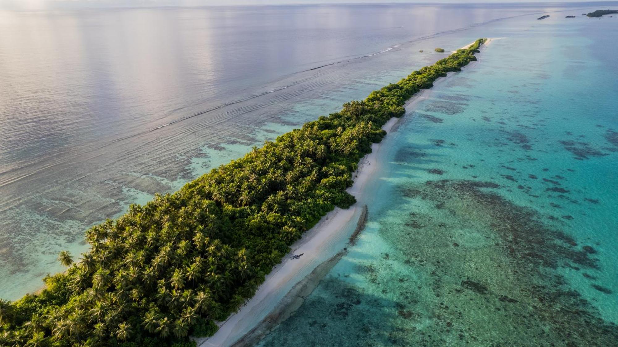 Whaleshark Beach Dhigurah  Zewnętrze zdjęcie